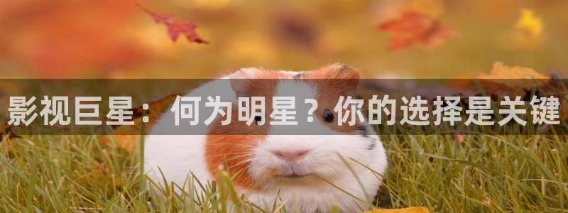 奇米影视777888：影视巨星：何为明星？你的选择是关键